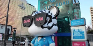 Gangnam, Seoul's iconic shopping district, offers unparalleled experiences for luxury fashion enthusiasts